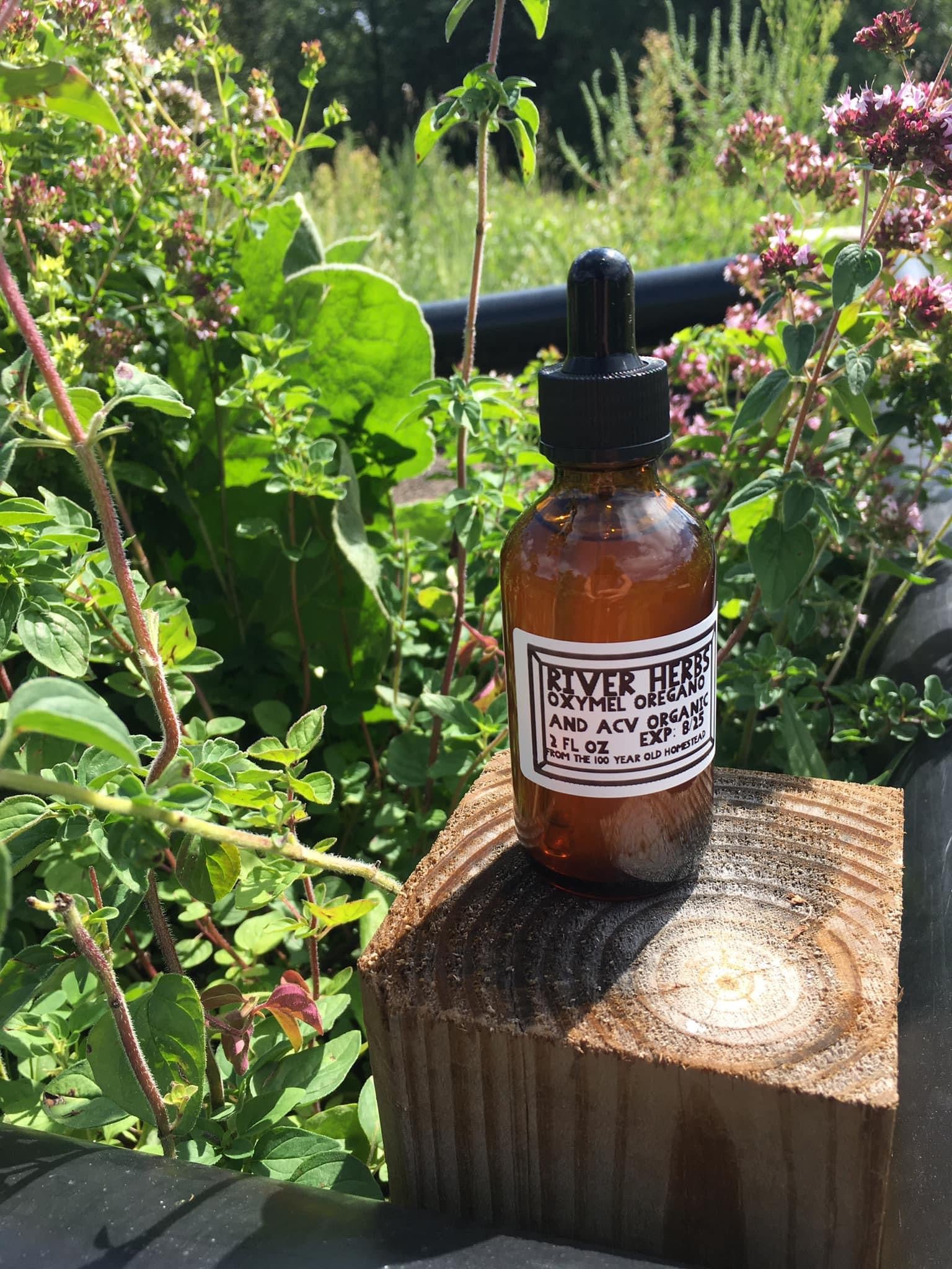 Oxymel tincture oregano apple cider vinegar from the mother immune support help